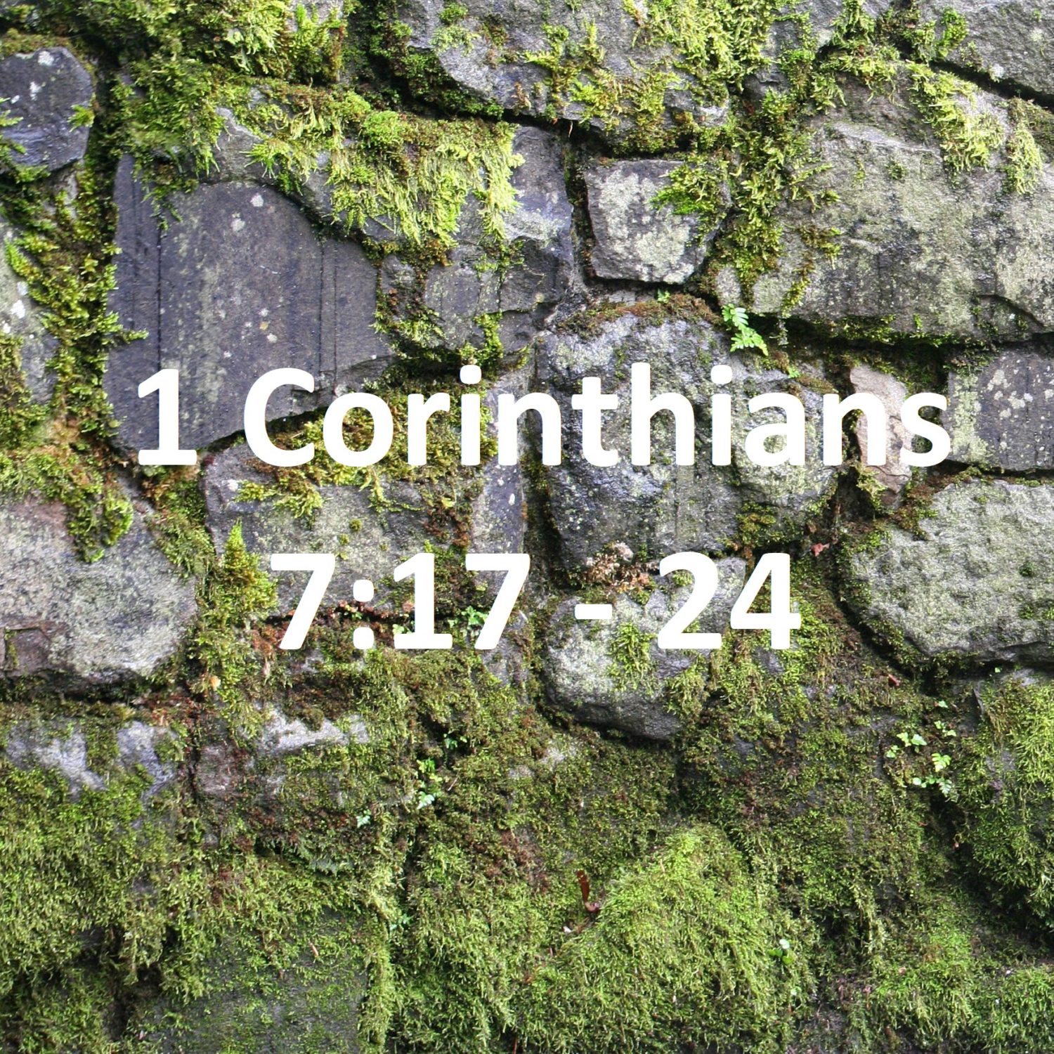 1-corinthians-7-17-24-sermon-books-third-way-church