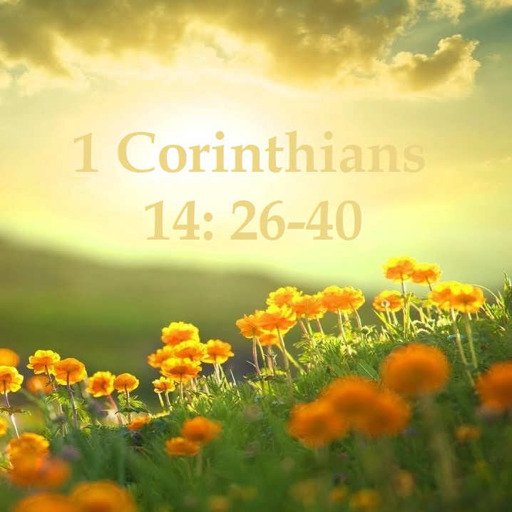 1 corinthians 14 26 40 nkjv